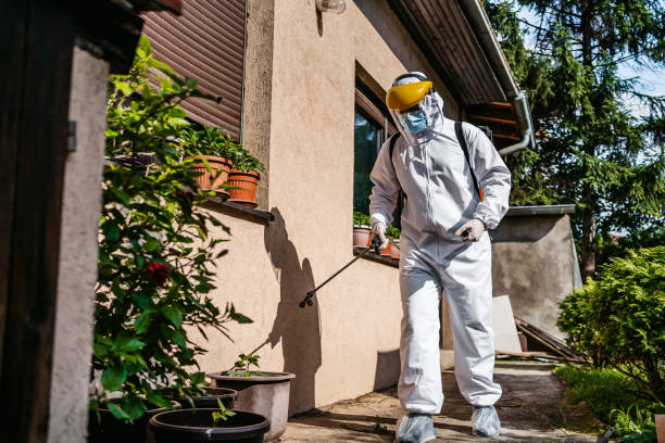 Best Ant Control Services  in USA